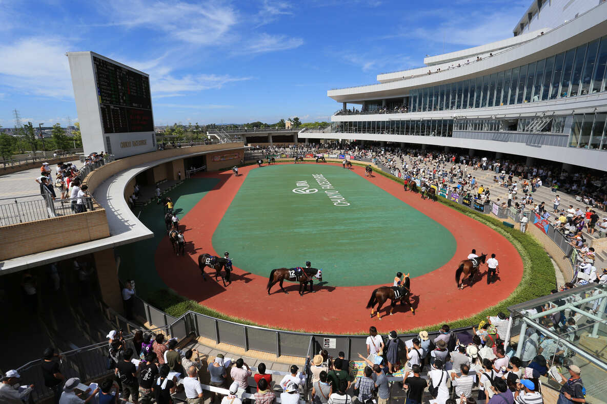 中京競馬場の画像