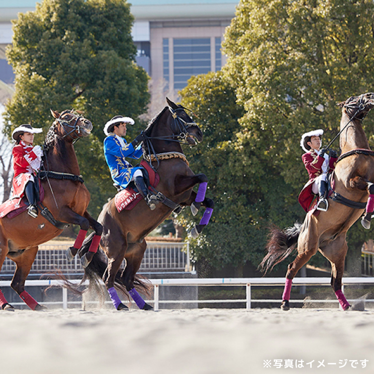 ホースダンスショーのイメージ画像