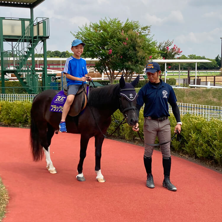 ポニー体験乗馬のイメージ画像