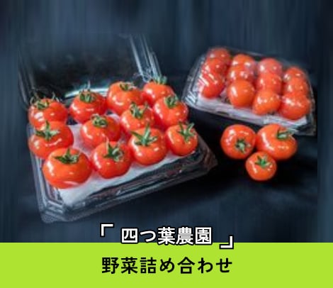 3名様ペア野菜詰め合わせ