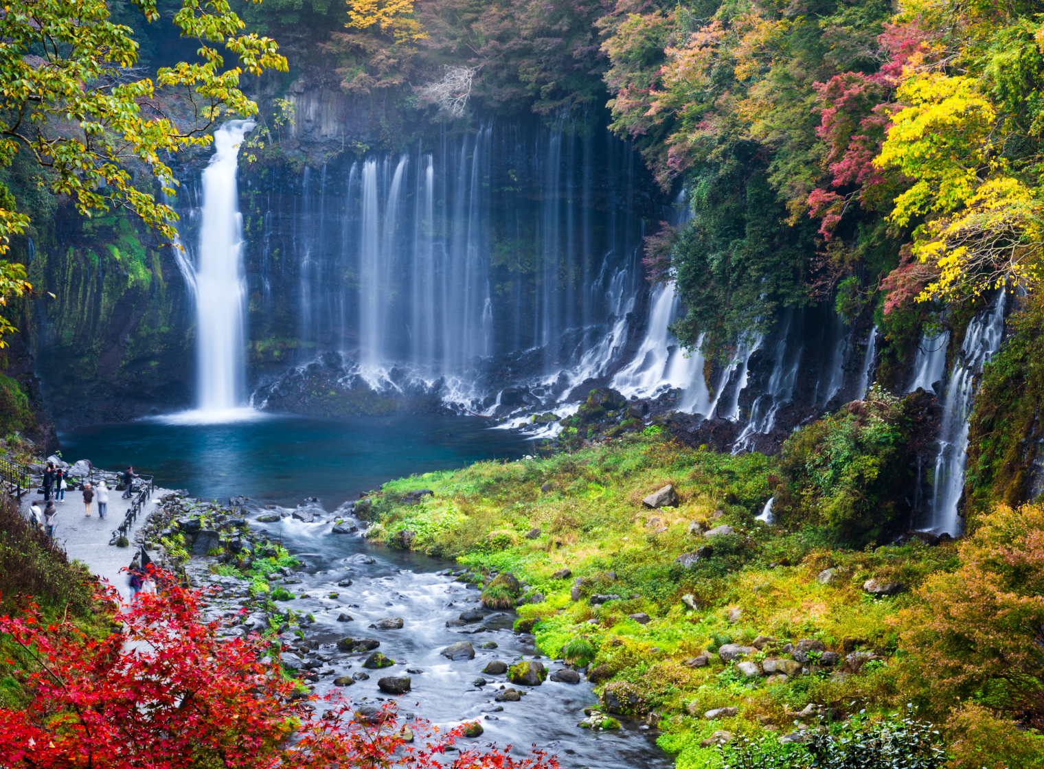 東部エリア